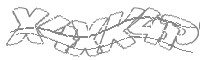 Check code